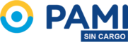 Logo PAMI